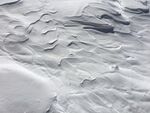 雪地