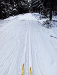 滑雪