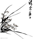兰花