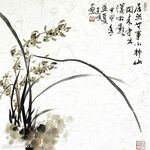 兰花