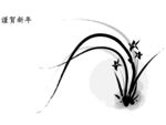 兰花