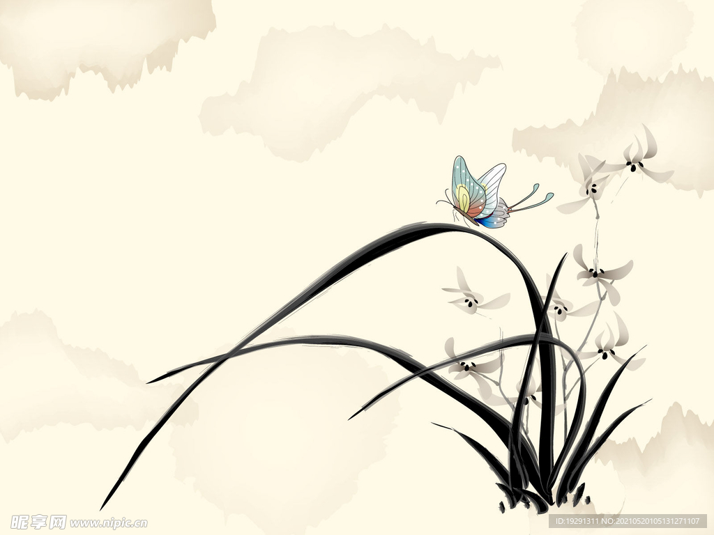 兰花