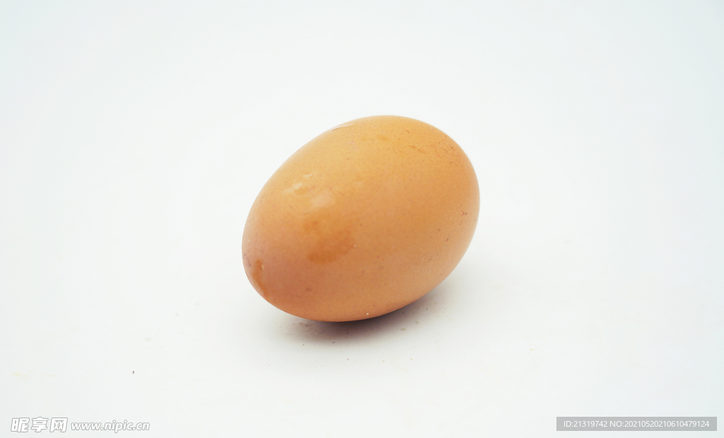 单个鸡蛋摄影图