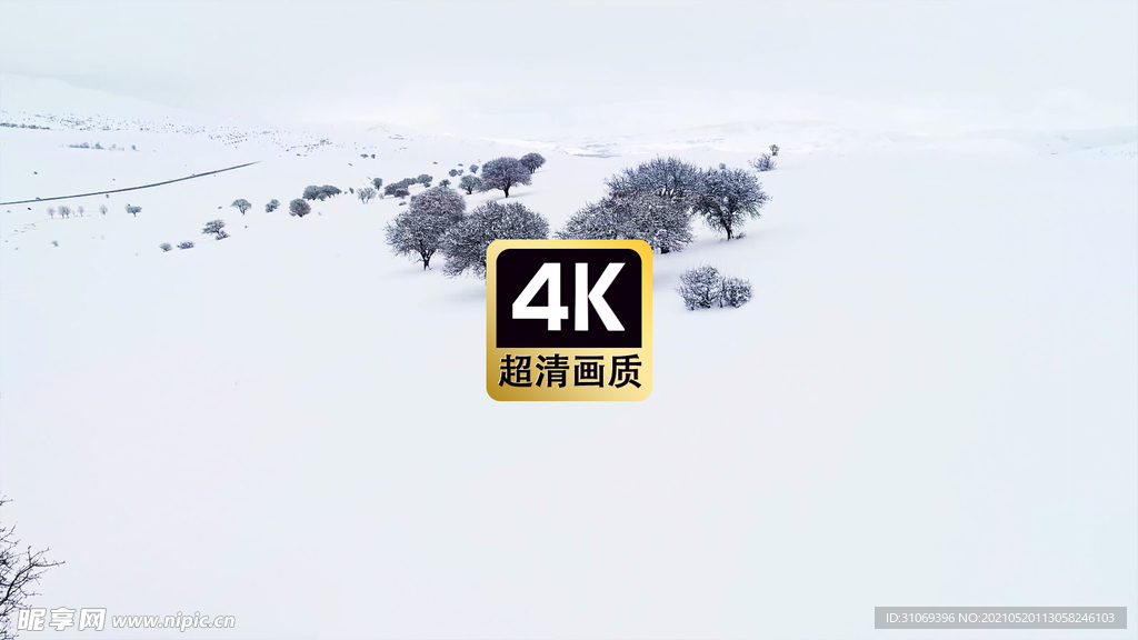 唯美风景雪原上的树林