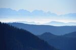 山