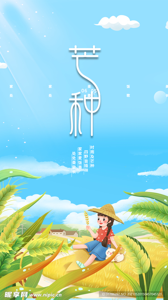 芒种