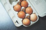 鸡蛋