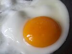 鸡蛋