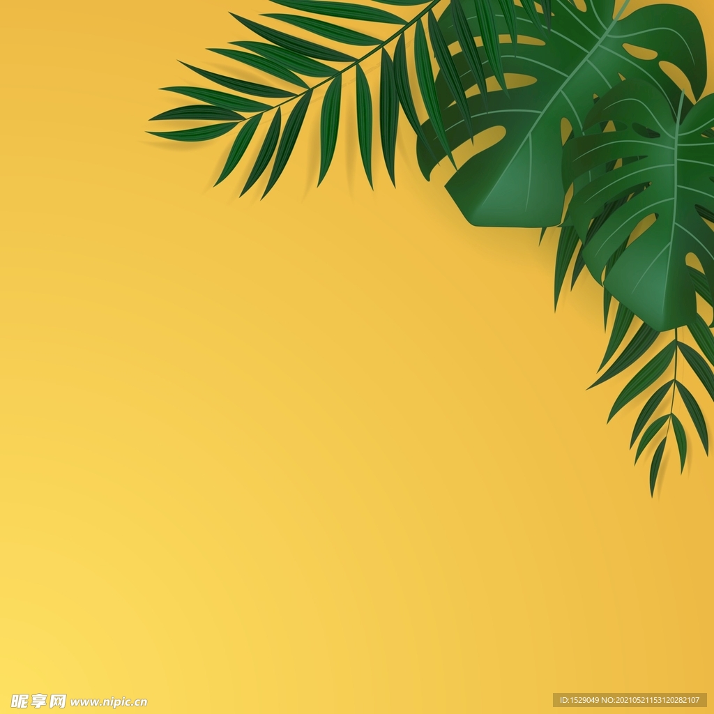 棕榈叶