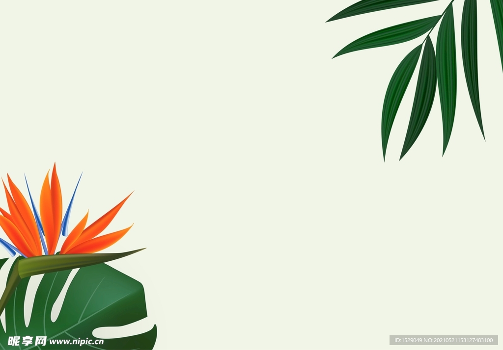 棕榈叶