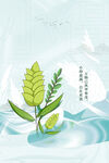 麦田