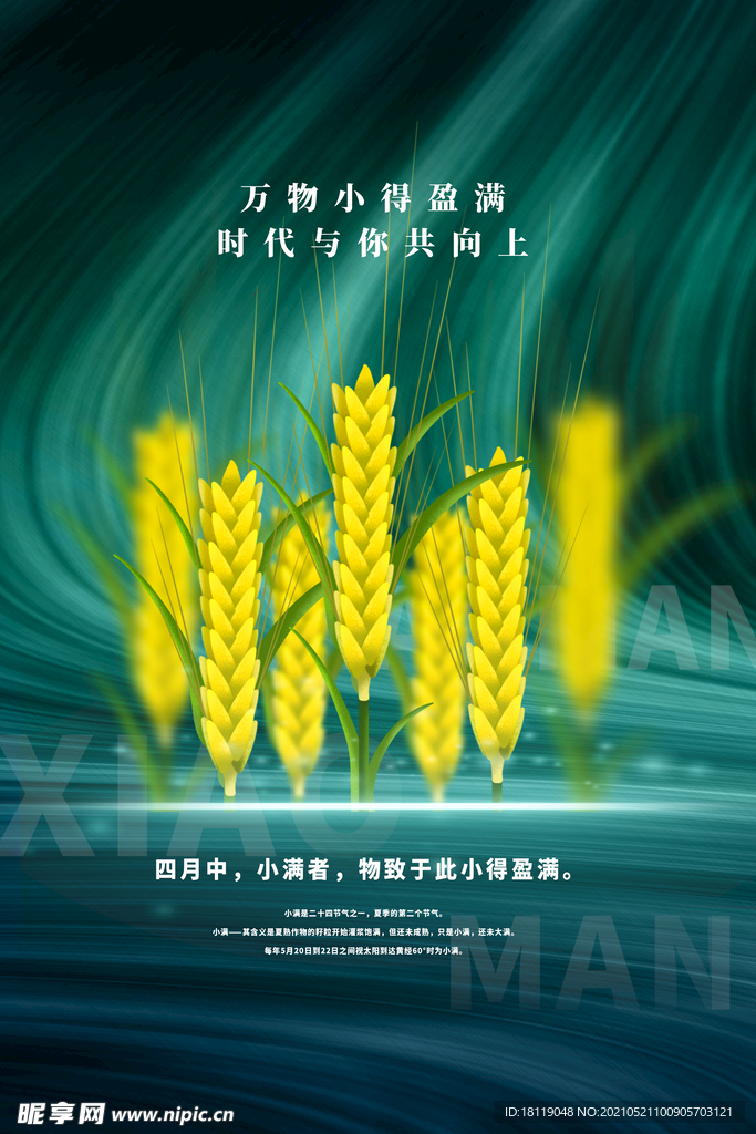 麦田