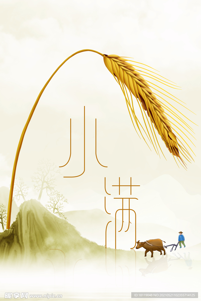 小满节气海报