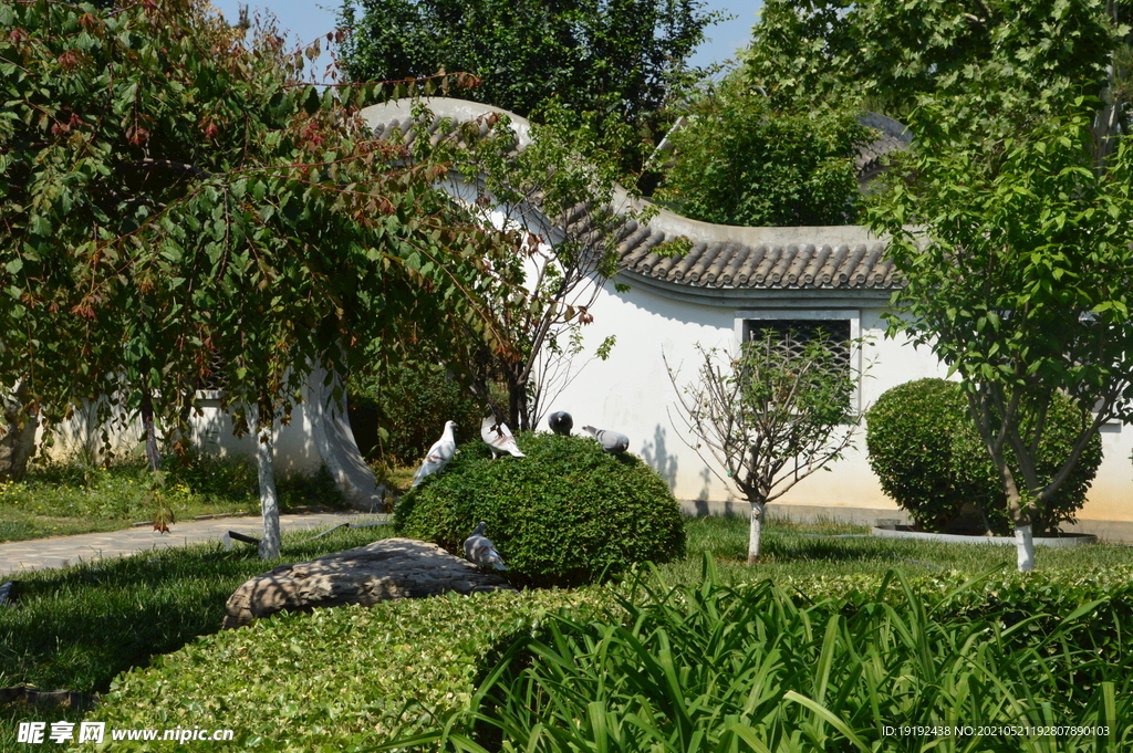 园林风景 