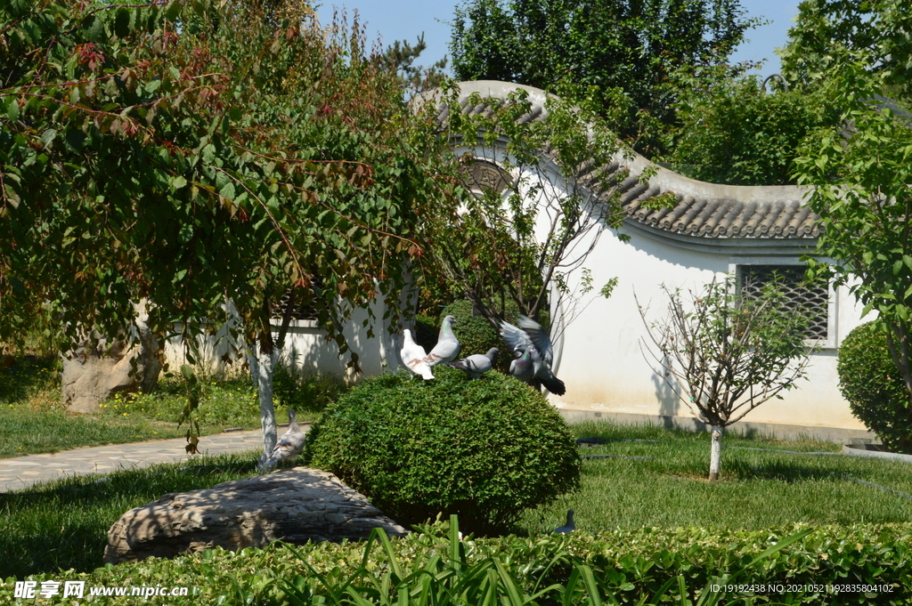园林风景