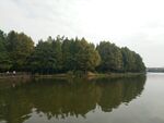 风景