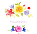 水彩花卉插图