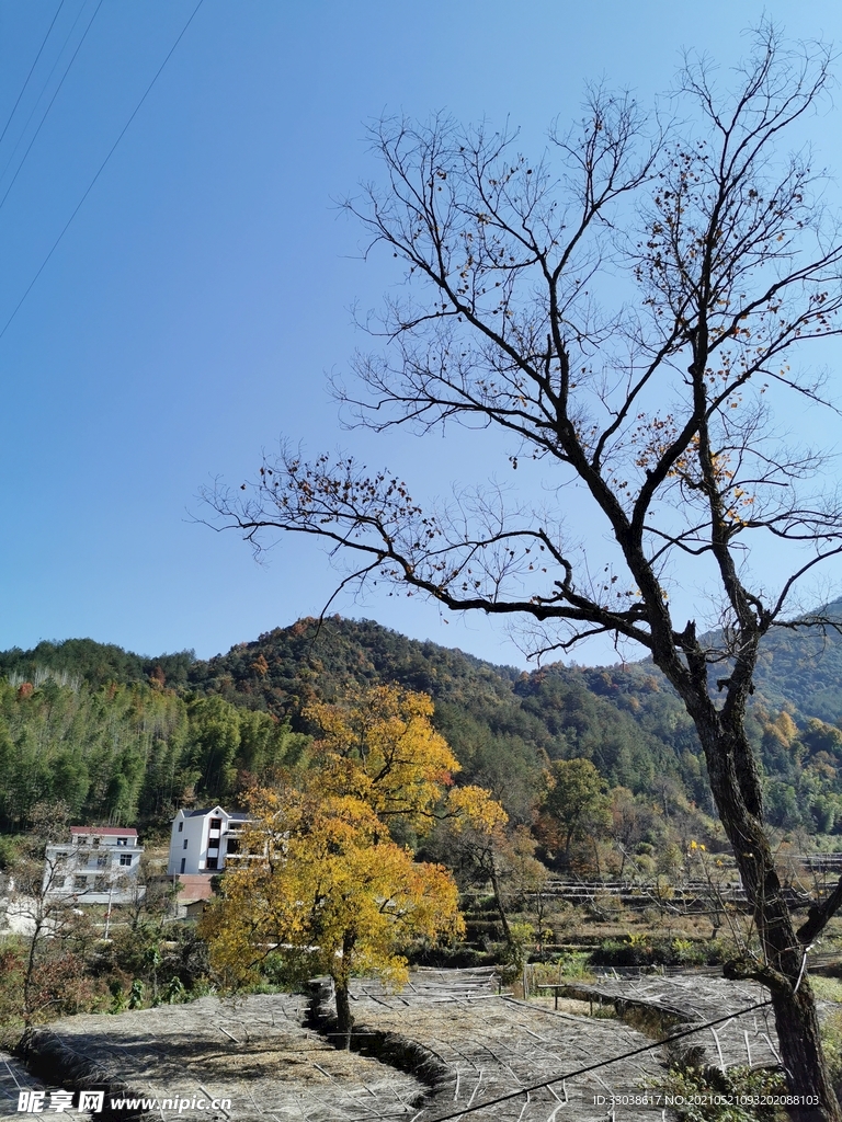 罗田大别山