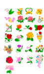 玫瑰花