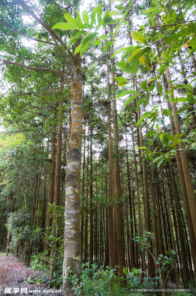 贺州姑婆山