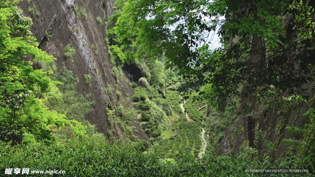 牛栏坑武夷山