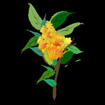 手绘桂花png免抠素材