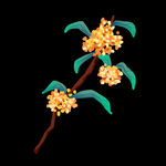 手绘桂花png免抠素材