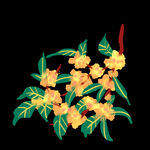 手绘桂花png免抠素材