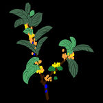 手绘桂花png免抠素材