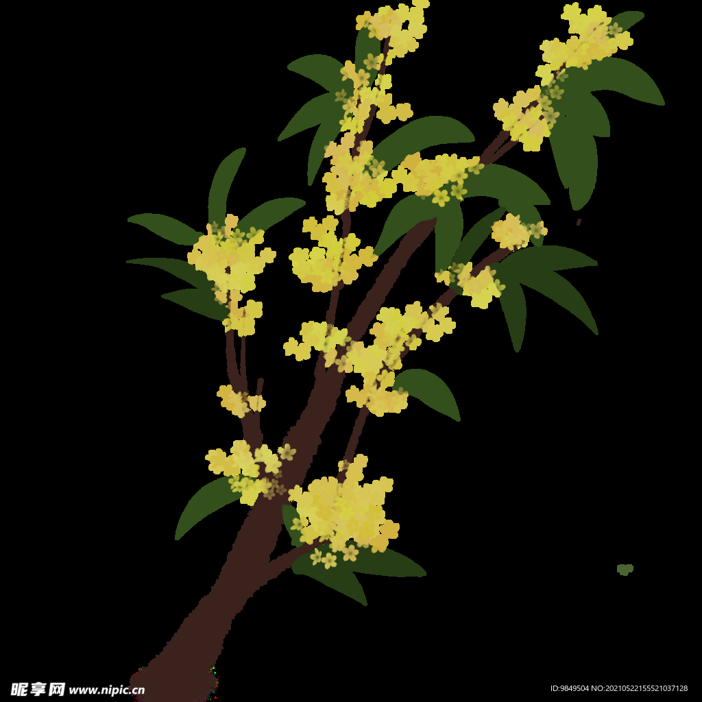 手绘桂花png免抠素材