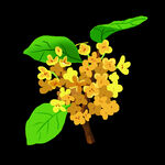 手绘桂花png免抠素材
