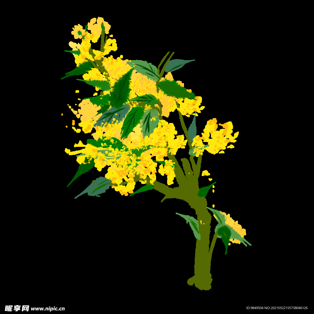 手绘桂花png免抠素材