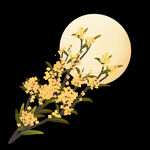 手绘桂花png免抠素材