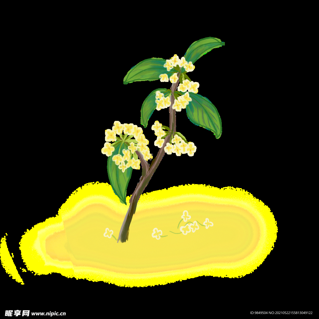 手绘桂花png免抠素材
