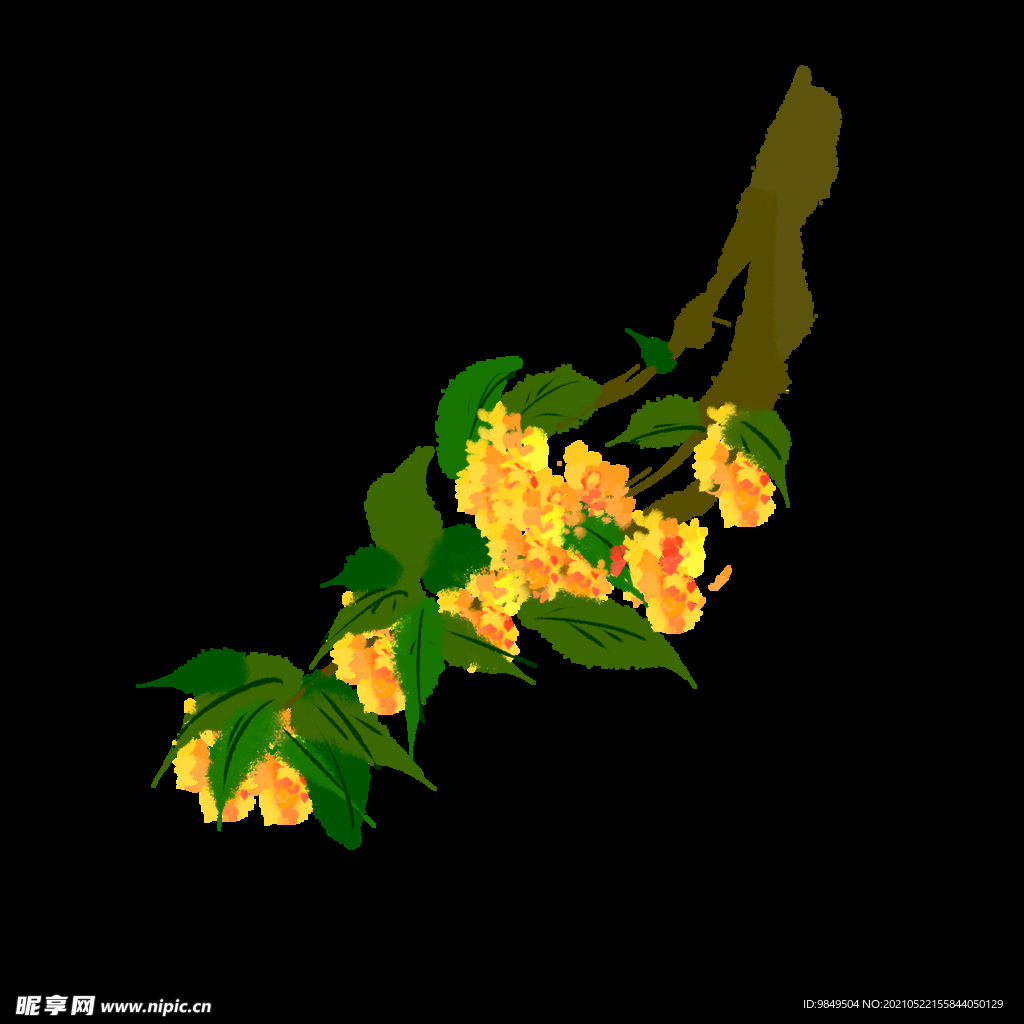 手绘桂花png免抠素材