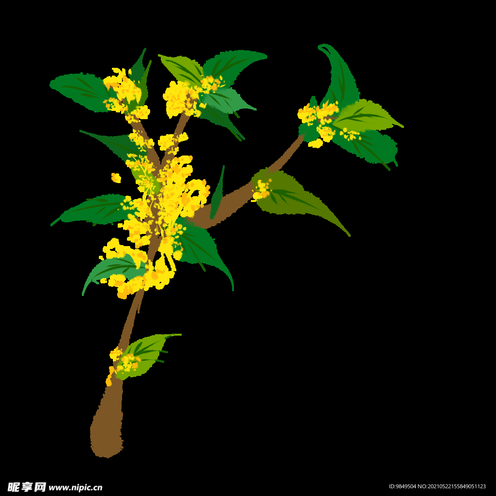 手绘桂花png免抠素材