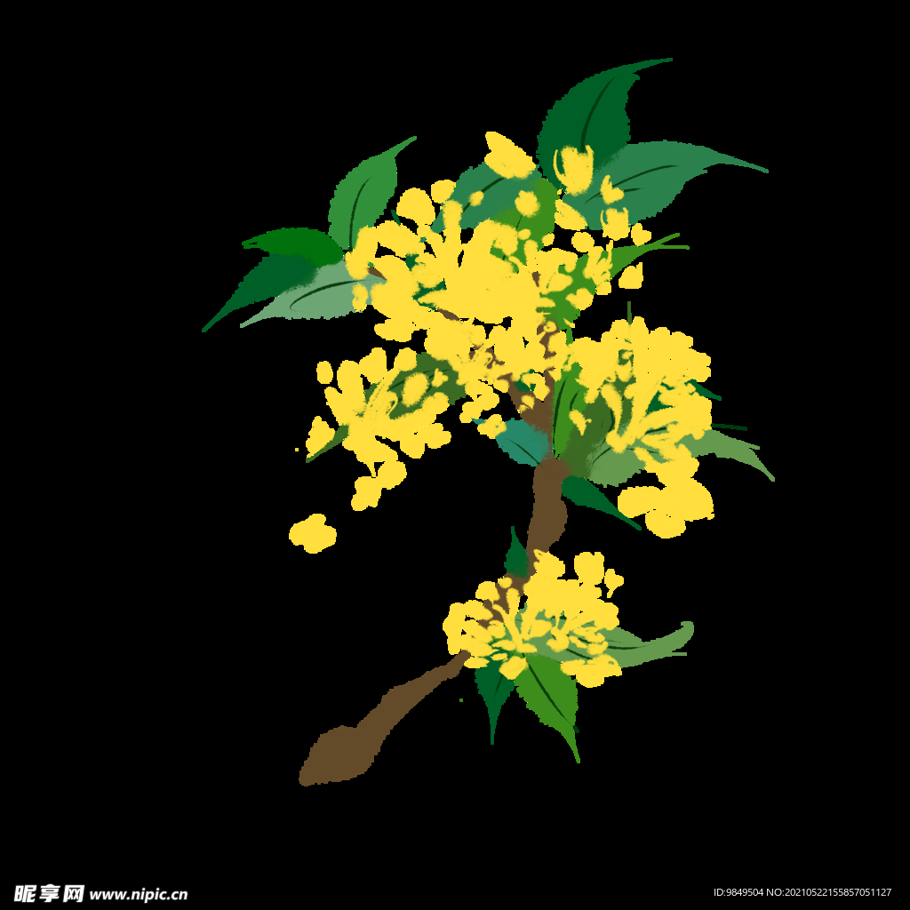  手绘桂花png免抠素材