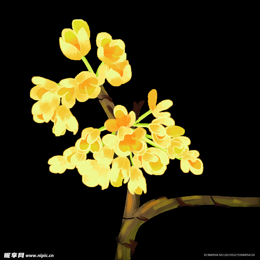 手绘桂花png免抠素材