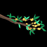 手绘桂花png免抠素材