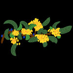 手绘桂花png免抠素材