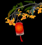  手绘桂花png免抠素材