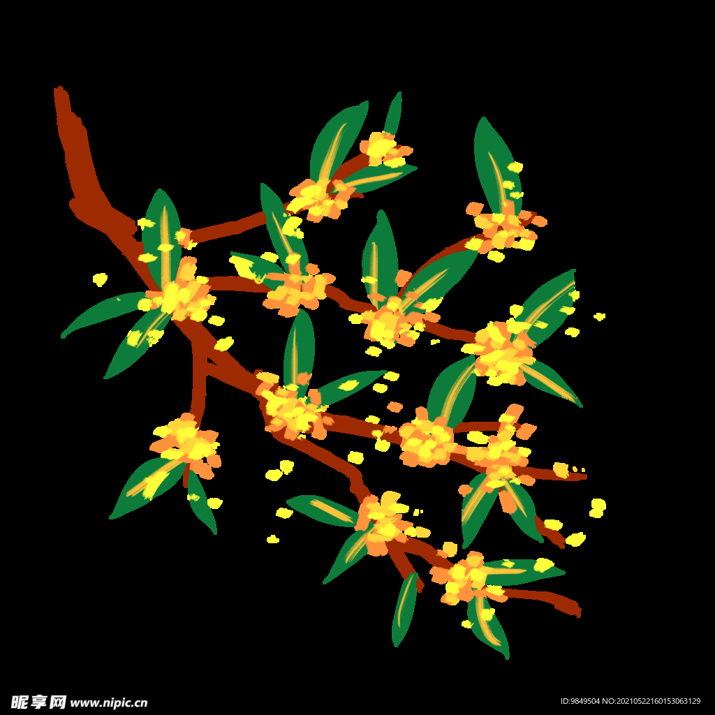 手绘桂花png免抠素材