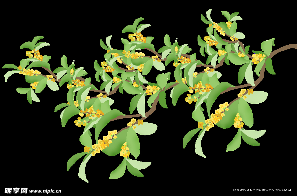  手绘桂花png免抠素材