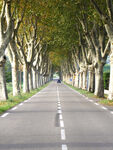 路 
