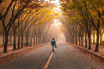 路 