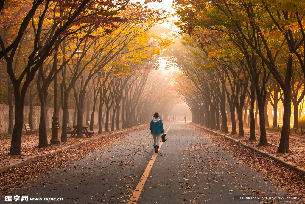 路 