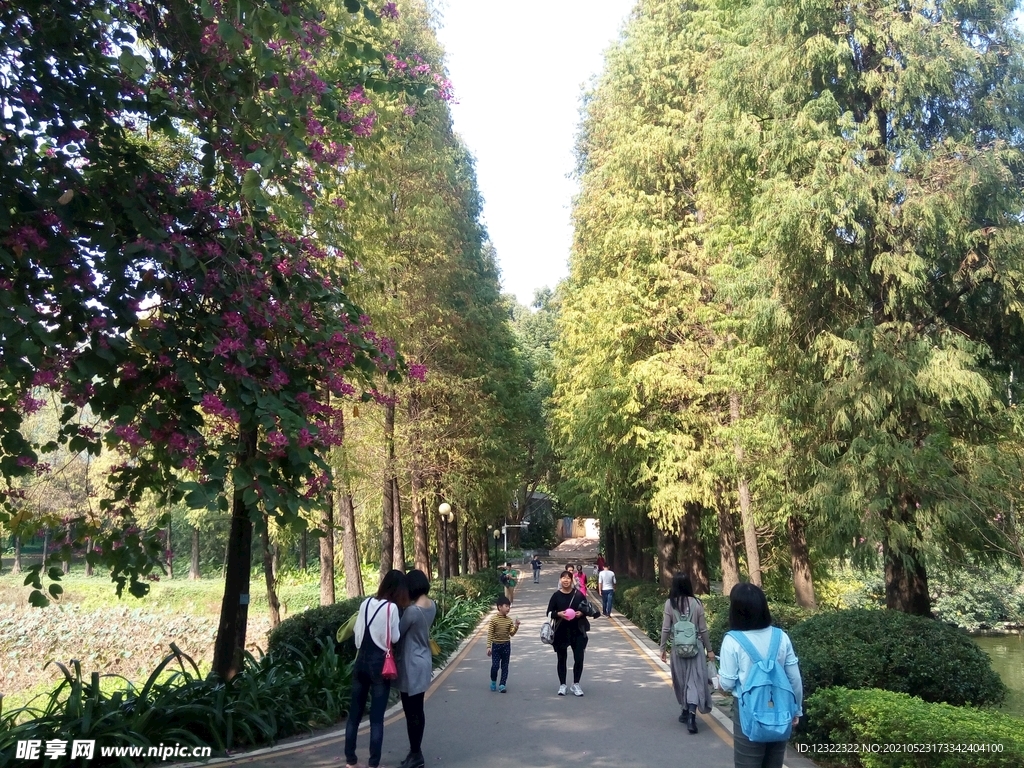 广州天河公园风景