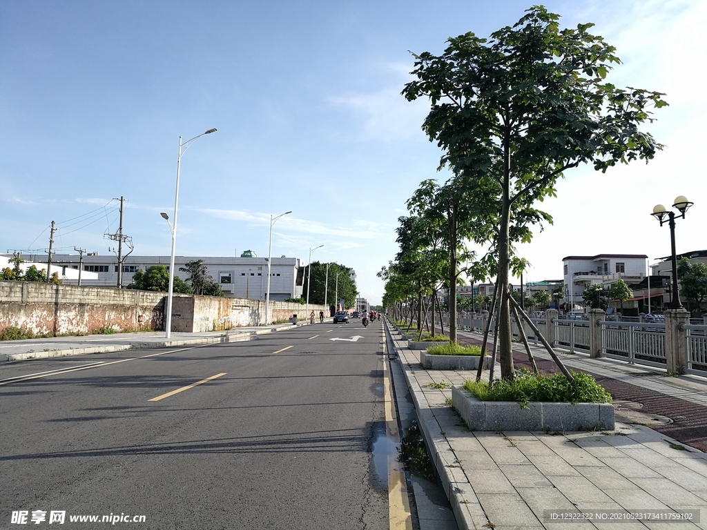 城市绿化风景