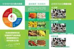 珍宝明 抑菌液三折页
