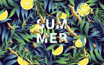 夏天summer